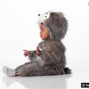 Pottery Barn Hedgehog Costume